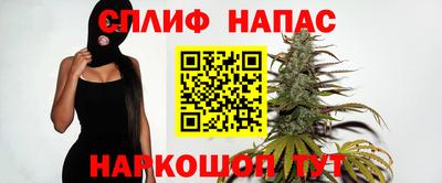 мдпв Гатчина