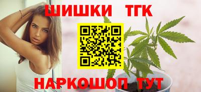 мдпв Гатчина
