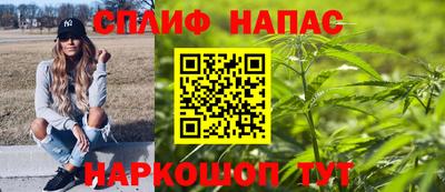 мдпв Гатчина
