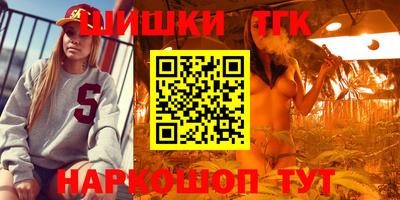 мдпв Гатчина