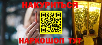 мдпв Гатчина