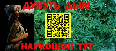 мдпв Гатчина